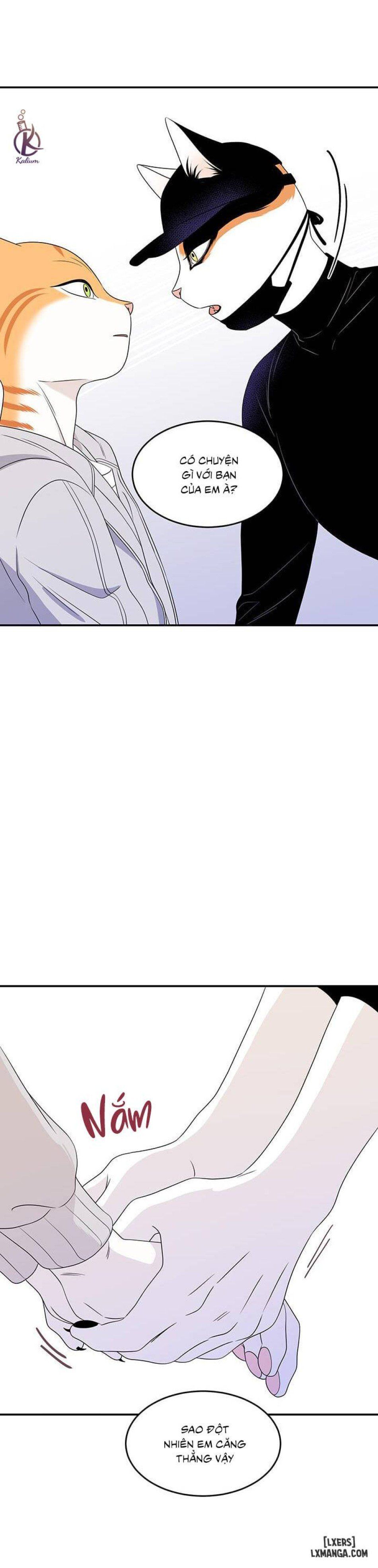 đọc truyện Dự Án Xanh Chương 10 ảnh 13 tại Thiên Thai Truyện