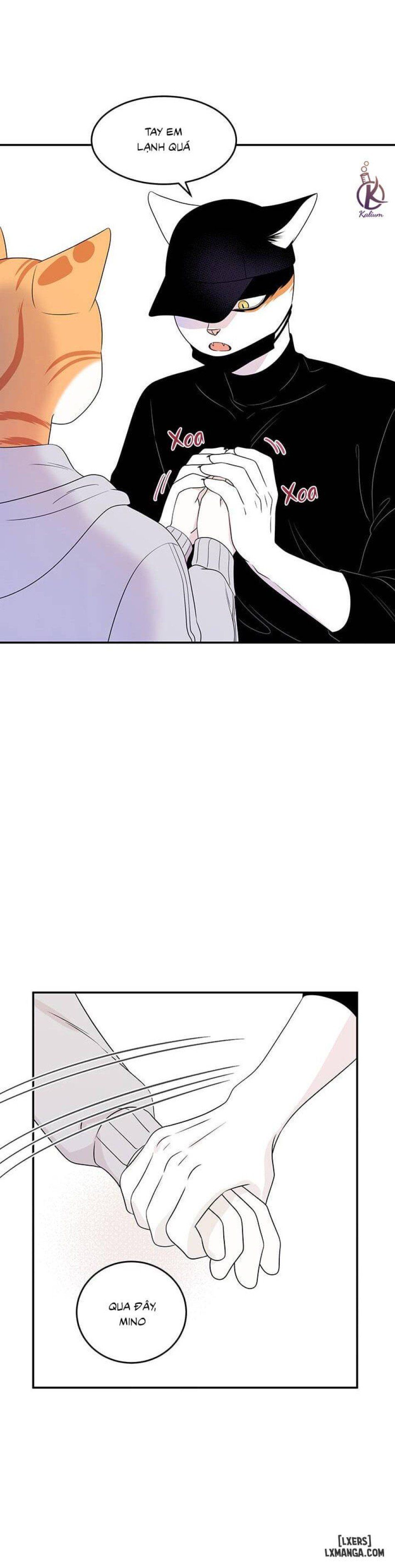 đọc truyện Dự Án Xanh Chương 10 ảnh 14 tại Thiên Thai Truyện