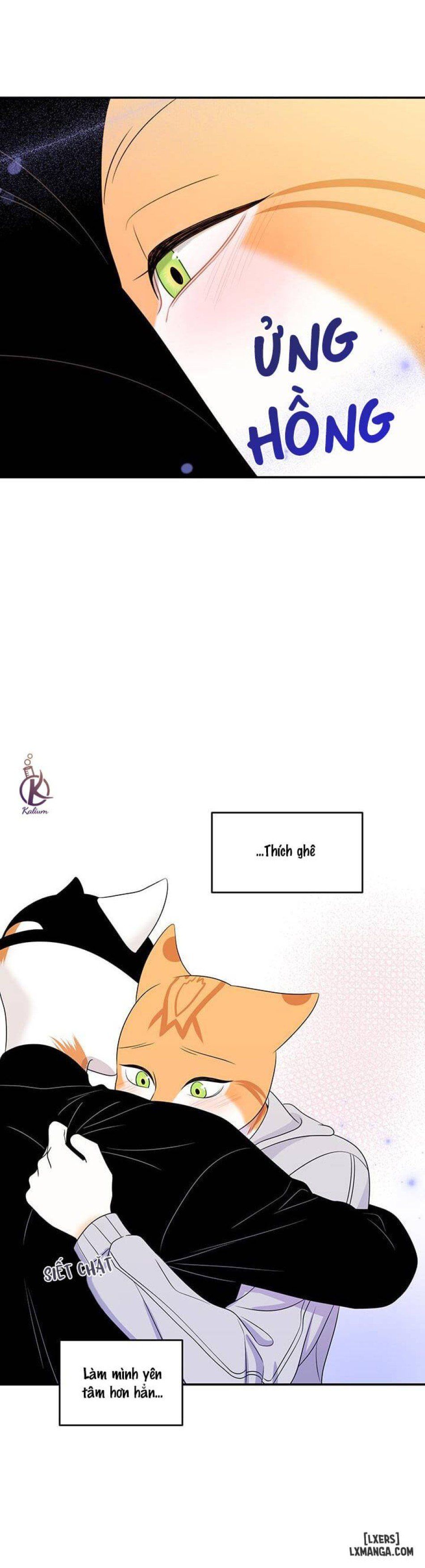 đọc truyện Dự Án Xanh Chương 10 ảnh 17 tại Thiên Thai Truyện