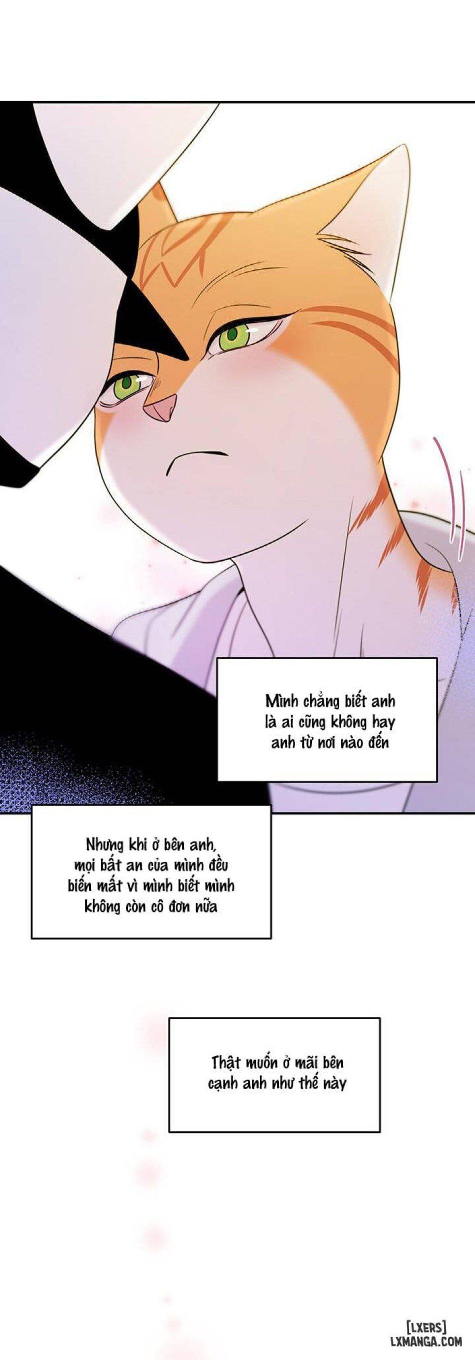 đọc truyện Dự Án Xanh Chương 10 ảnh 19 tại Thiên Thai Truyện