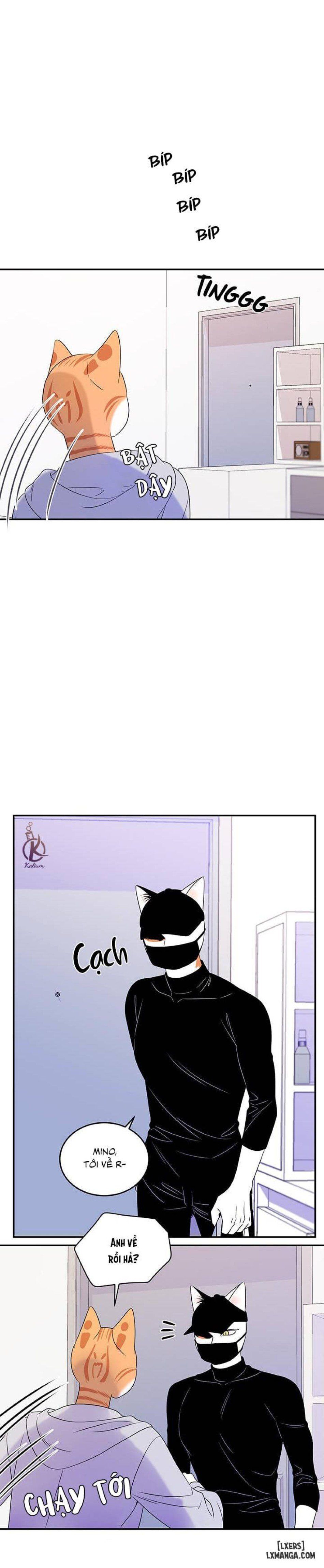 đọc truyện Dự Án Xanh Chương 10 ảnh 6 tại Thiên Thai Truyện