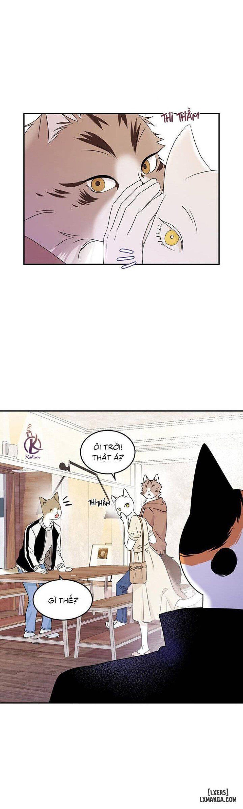 đọc truyện Dự Án Xanh Chương 11 ảnh 12 tại Thiên Thai Truyện