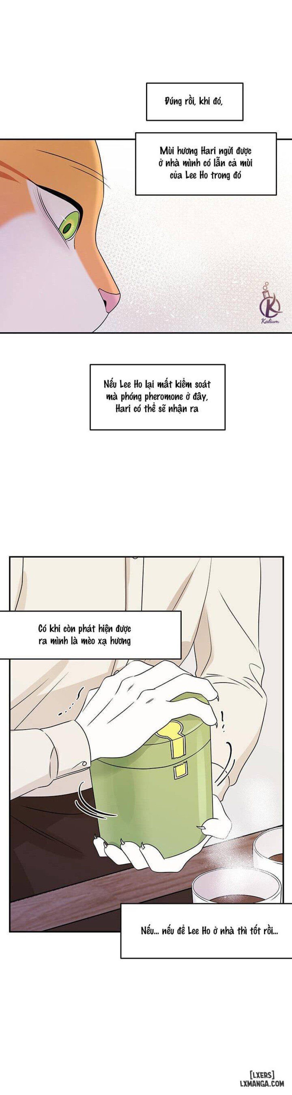 đọc truyện Dự Án Xanh Chương 11 ảnh 14 tại Thiên Thai Truyện