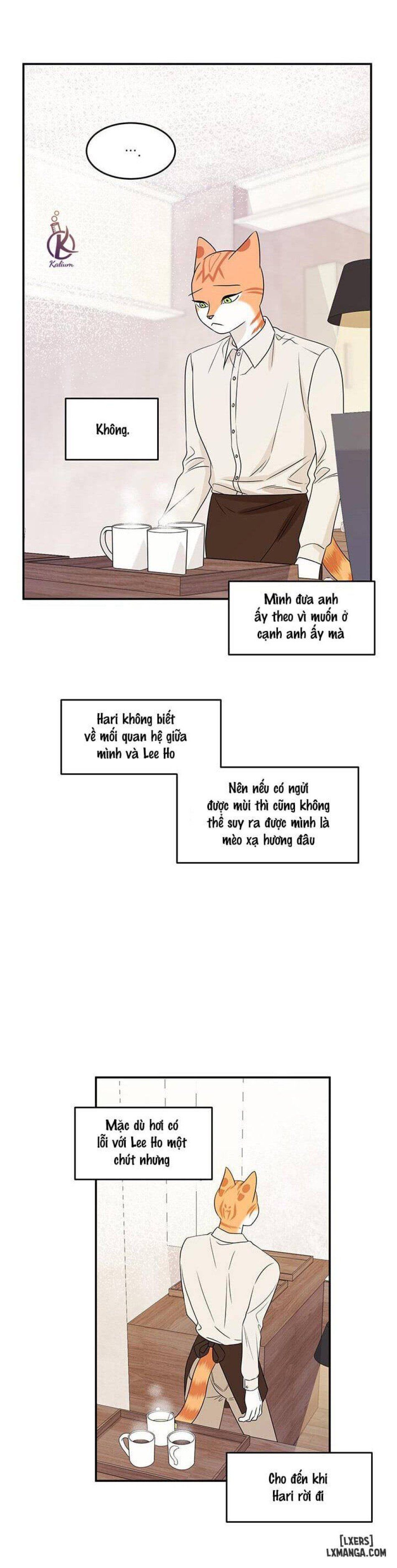 đọc truyện Dự Án Xanh Chương 11 ảnh 16 tại Thiên Thai Truyện