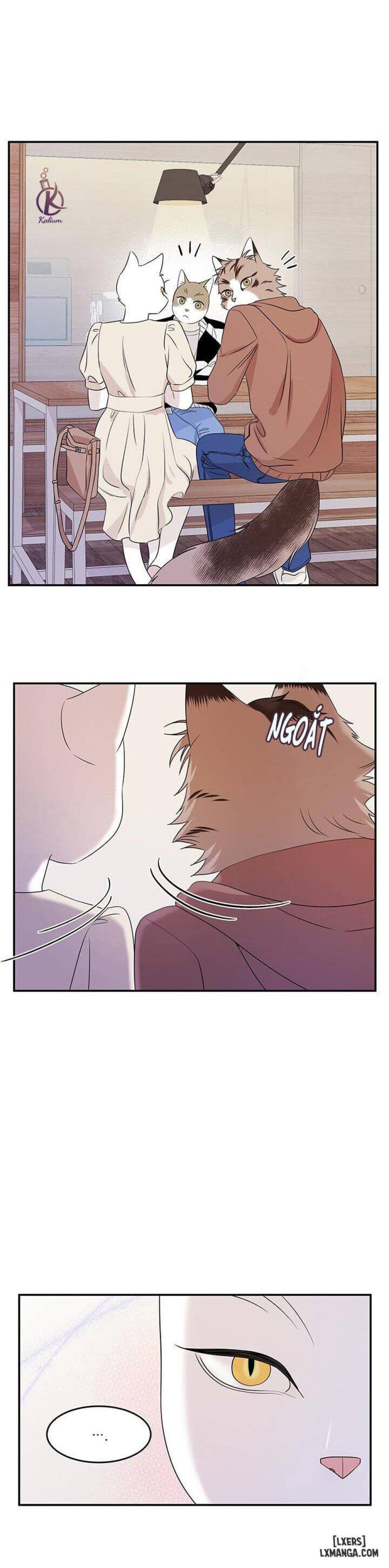 đọc truyện Dự Án Xanh Chương 11 ảnh 20 tại Thiên Thai Truyện