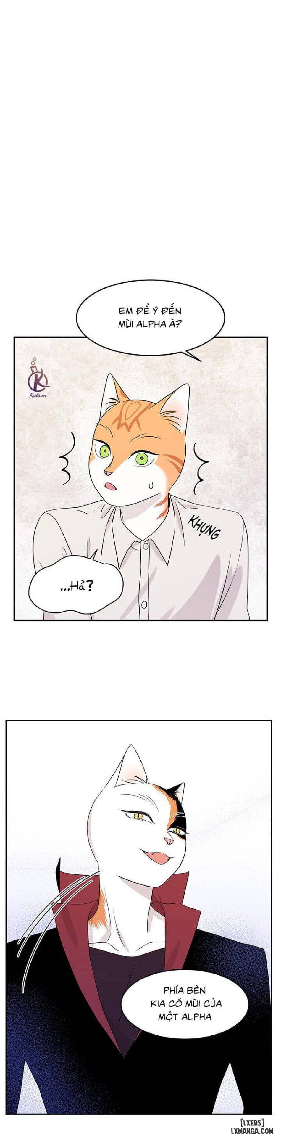 đọc truyện Dự Án Xanh Chương 11 ảnh 21 tại Thiên Thai Truyện