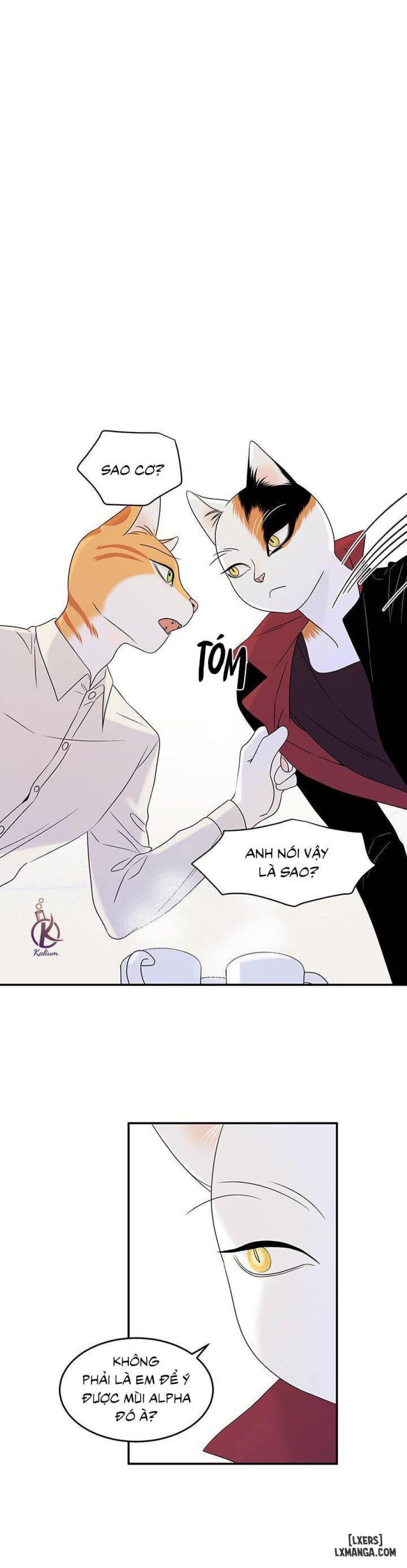 đọc truyện Dự Án Xanh Chương 11 ảnh 22 tại Thiên Thai Truyện