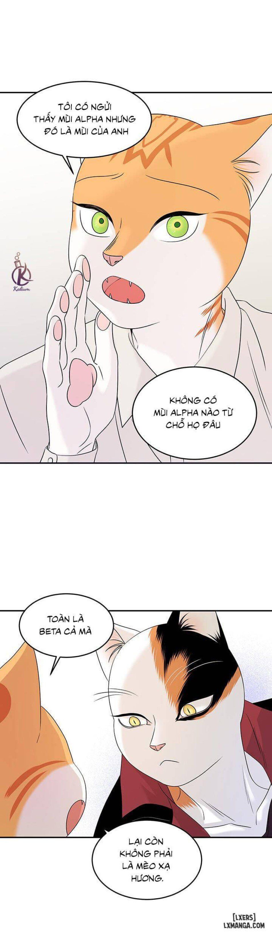 đọc truyện Dự Án Xanh Chương 11 ảnh 23 tại Thiên Thai Truyện