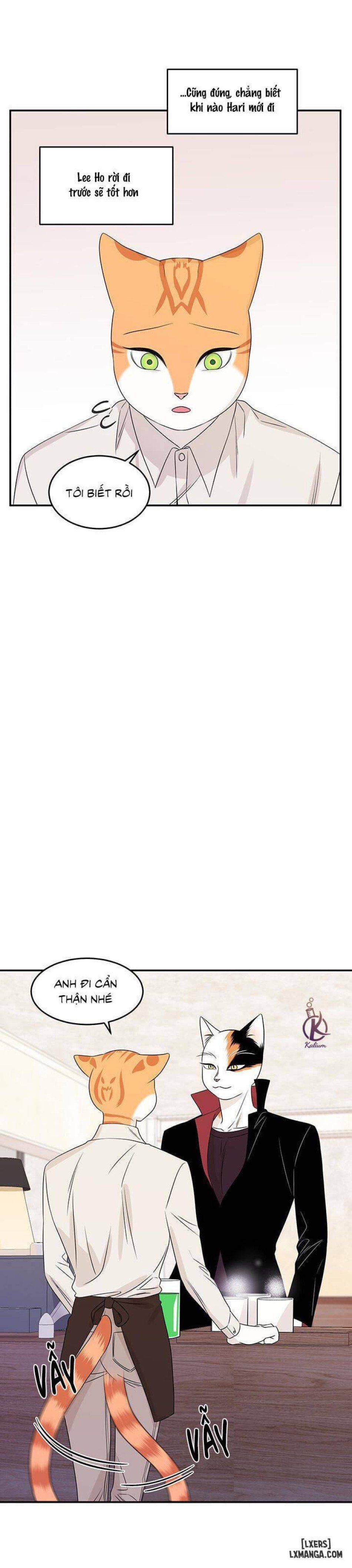 đọc truyện Dự Án Xanh Chương 11 ảnh 27 tại Thiên Thai Truyện