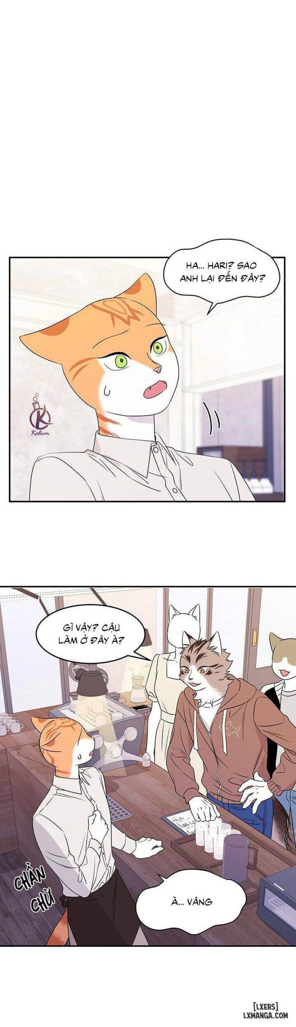 đọc truyện Dự Án Xanh Chương 11 ảnh 5 tại Thiên Thai Truyện