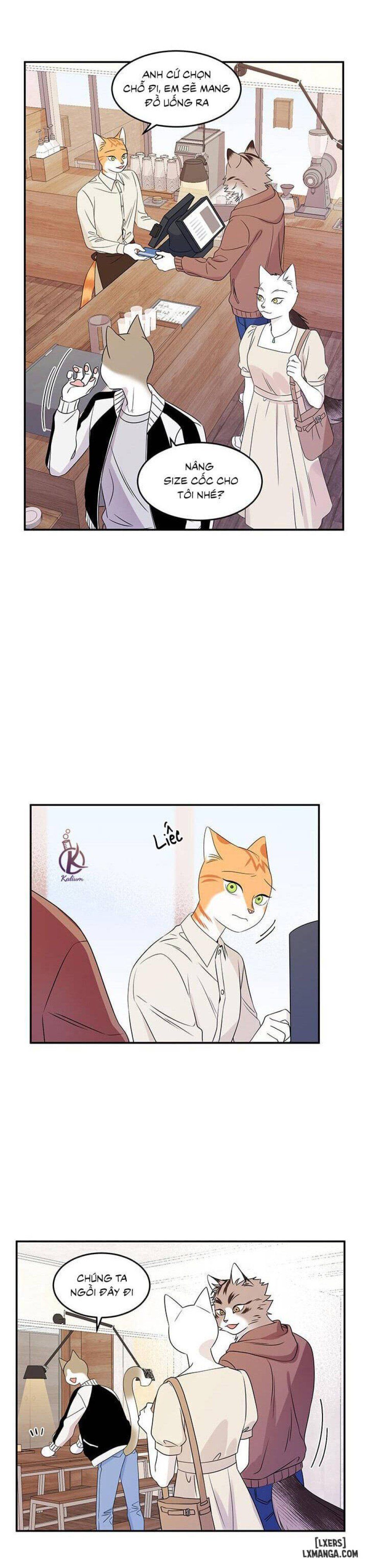 đọc truyện Dự Án Xanh Chương 11 ảnh 9 tại Thiên Thai Truyện