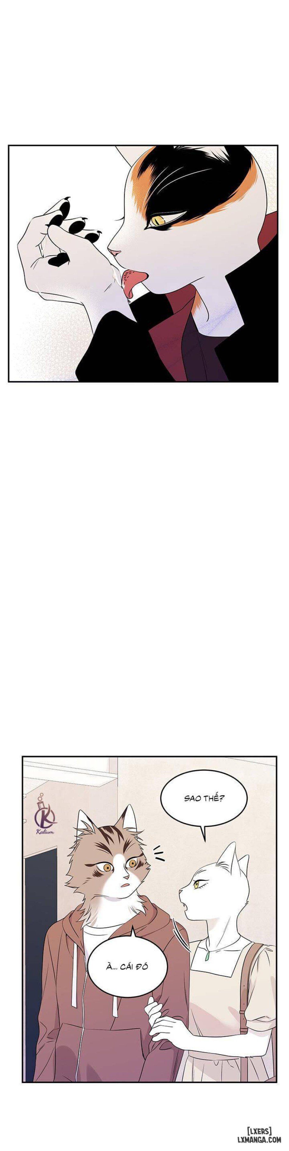 đọc truyện Dự Án Xanh Chương 11 ảnh 11 tại Thiên Thai Truyện