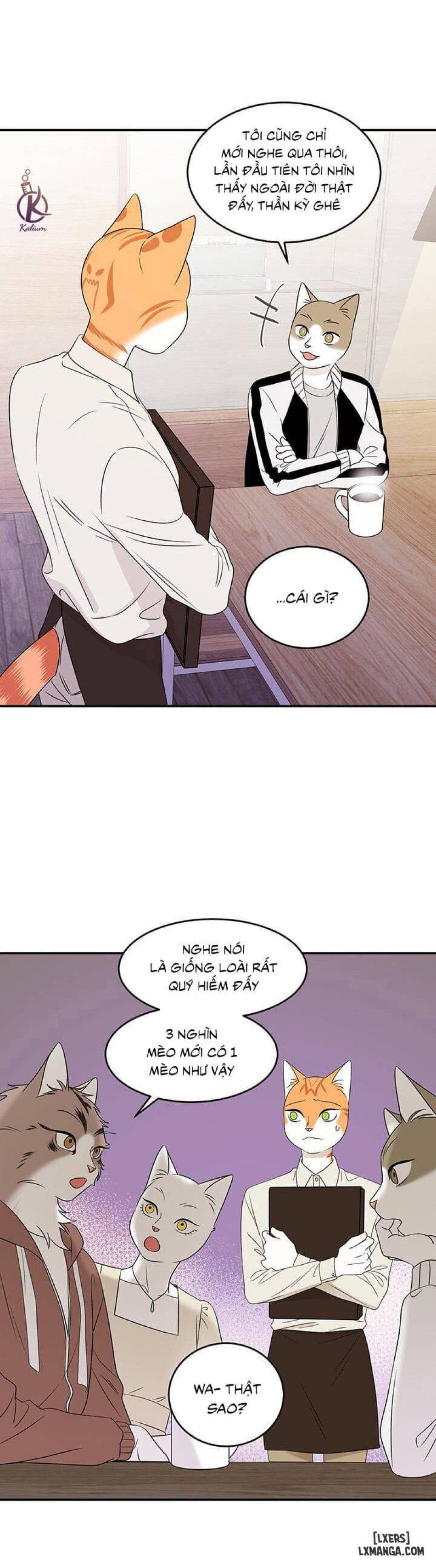 đọc truyện Dự Án Xanh Chương 12 ảnh 4 tại Thiên Thai Truyện