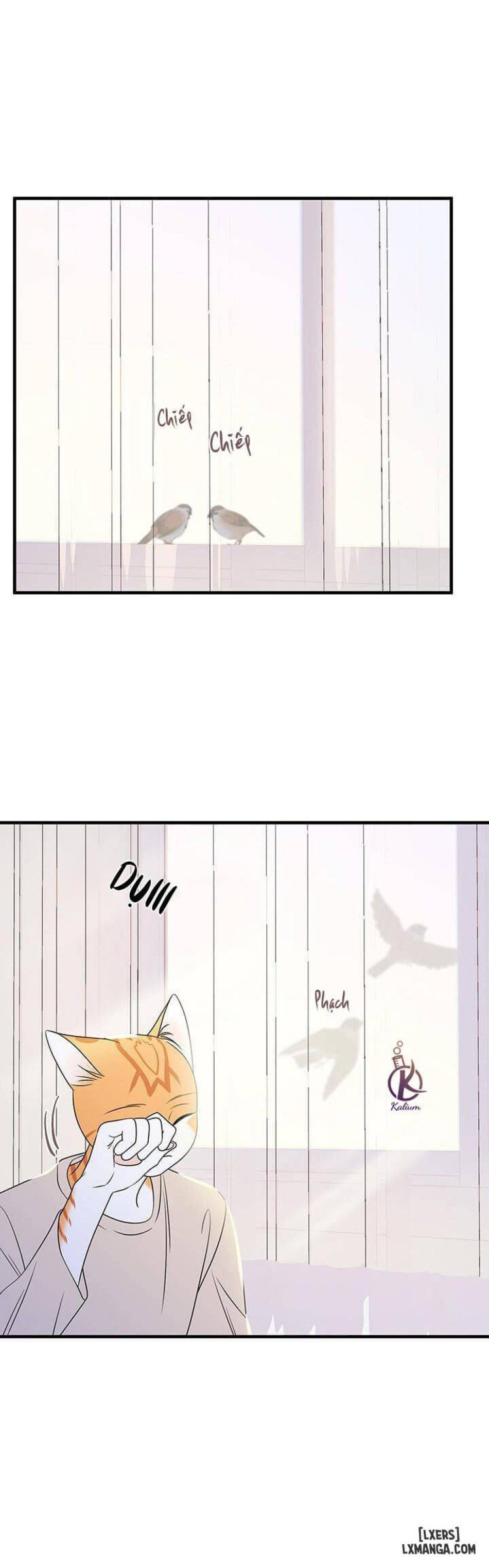 đọc truyện Dự Án Xanh Chương 12 ảnh 22 tại Thiên Thai Truyện