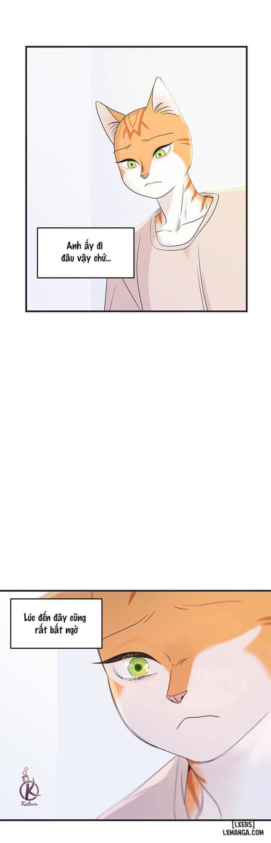 đọc truyện Dự Án Xanh Chương 12 ảnh 28 tại Thiên Thai Truyện