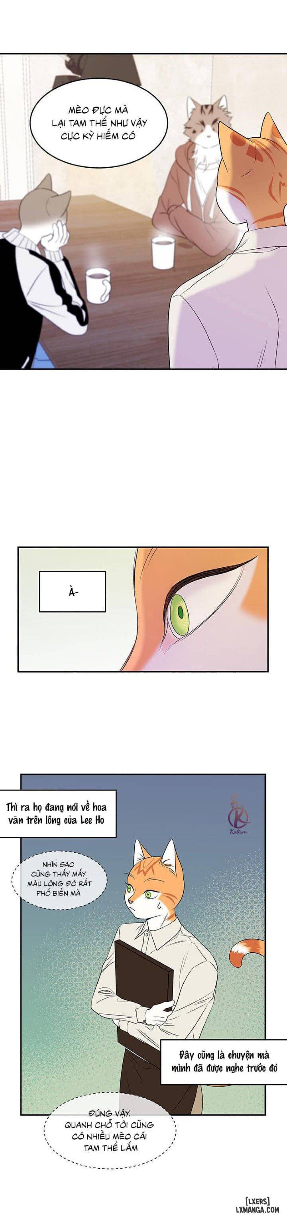 đọc truyện Dự Án Xanh Chương 12 ảnh 5 tại Thiên Thai Truyện