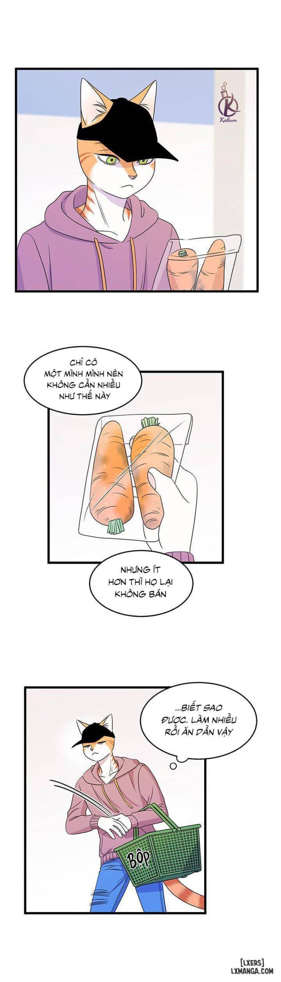 đọc truyện Dự Án Xanh Chương 12 ảnh 32 tại Thiên Thai Truyện