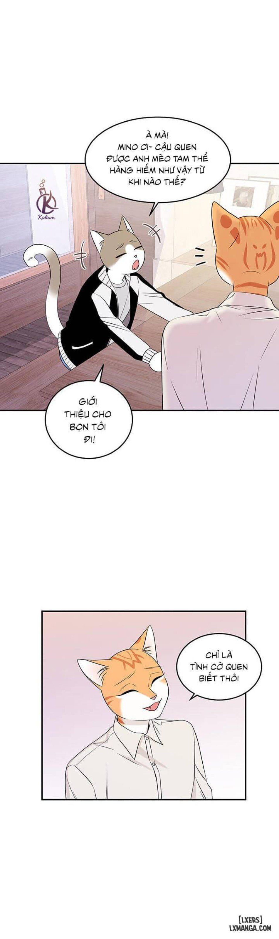 đọc truyện Dự Án Xanh Chương 12 ảnh 6 tại Thiên Thai Truyện