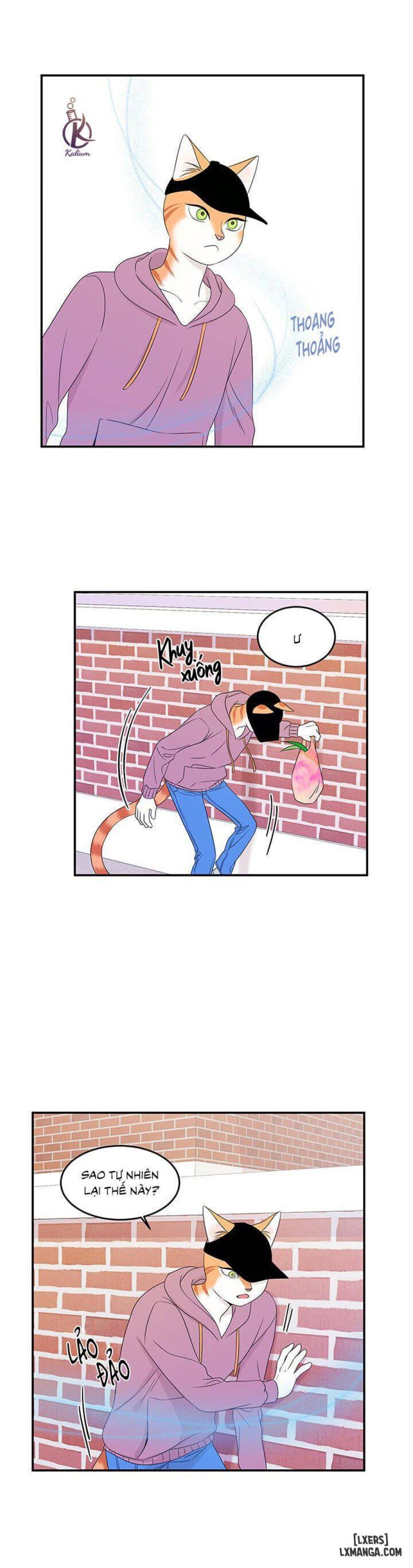 đọc truyện Dự Án Xanh Chương 13 ảnh 3 tại Thiên Thai Truyện