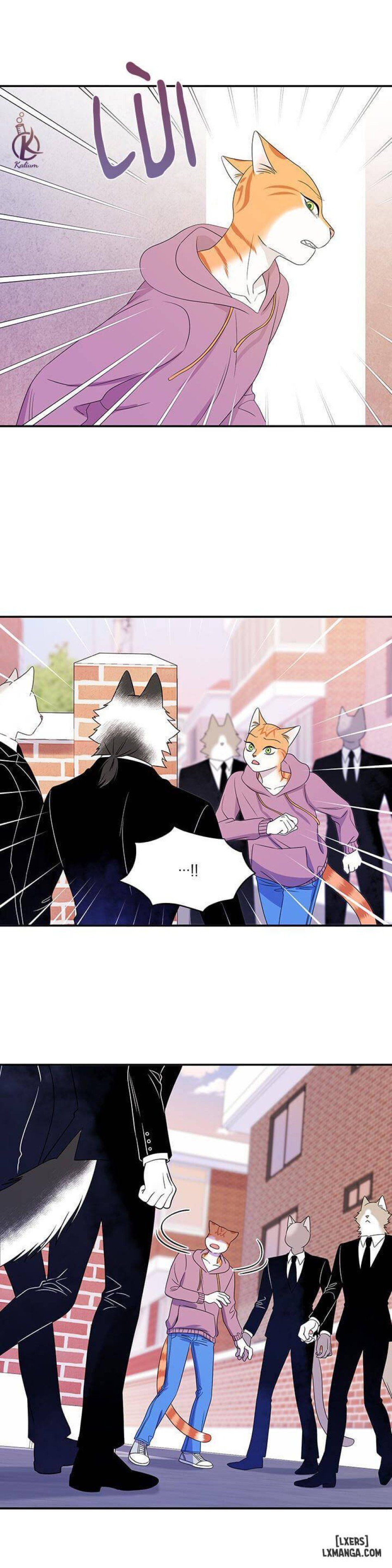 đọc truyện Dự Án Xanh Chương 13 ảnh 12 tại Thiên Thai Truyện