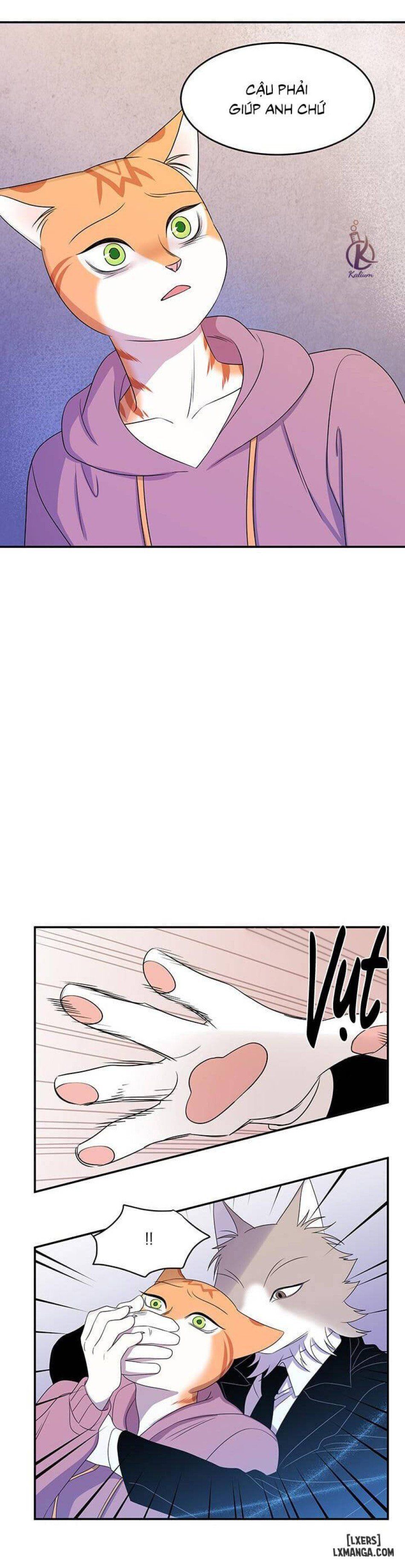 đọc truyện Dự Án Xanh Chương 13 ảnh 15 tại Thiên Thai Truyện