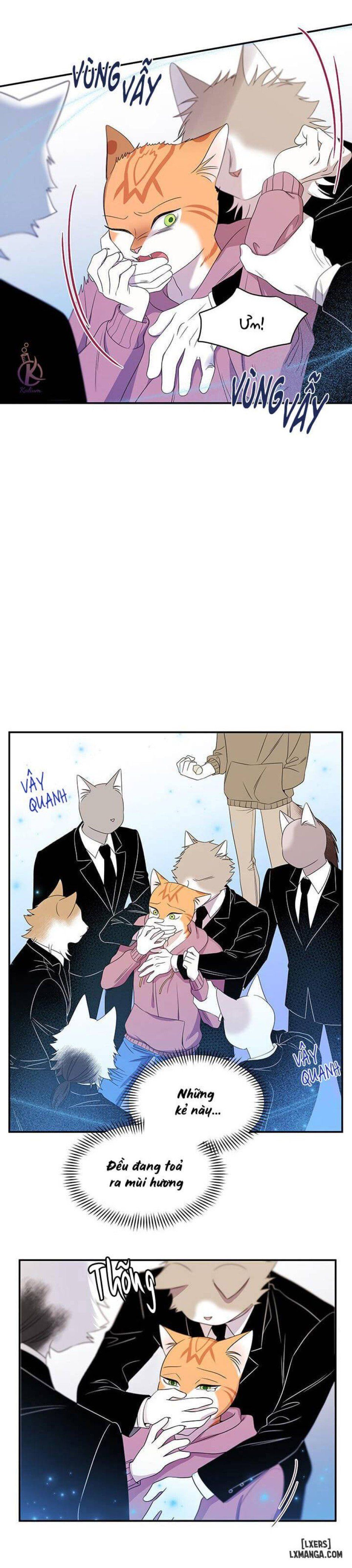 đọc truyện Dự Án Xanh Chương 13 ảnh 16 tại Thiên Thai Truyện