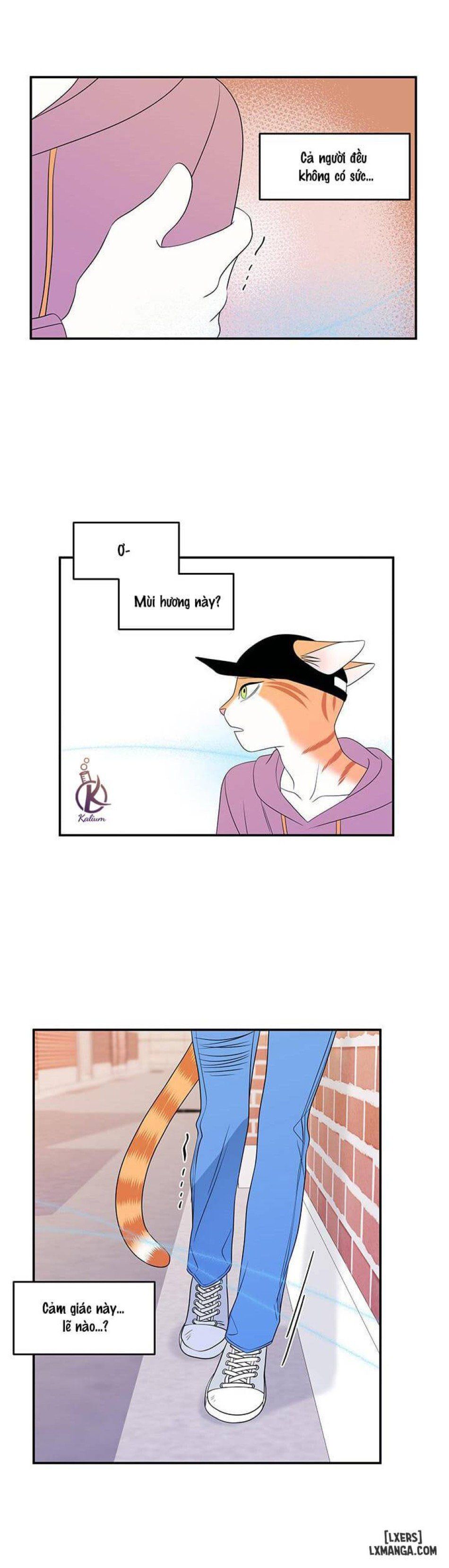 đọc truyện Dự Án Xanh Chương 13 ảnh 4 tại Thiên Thai Truyện