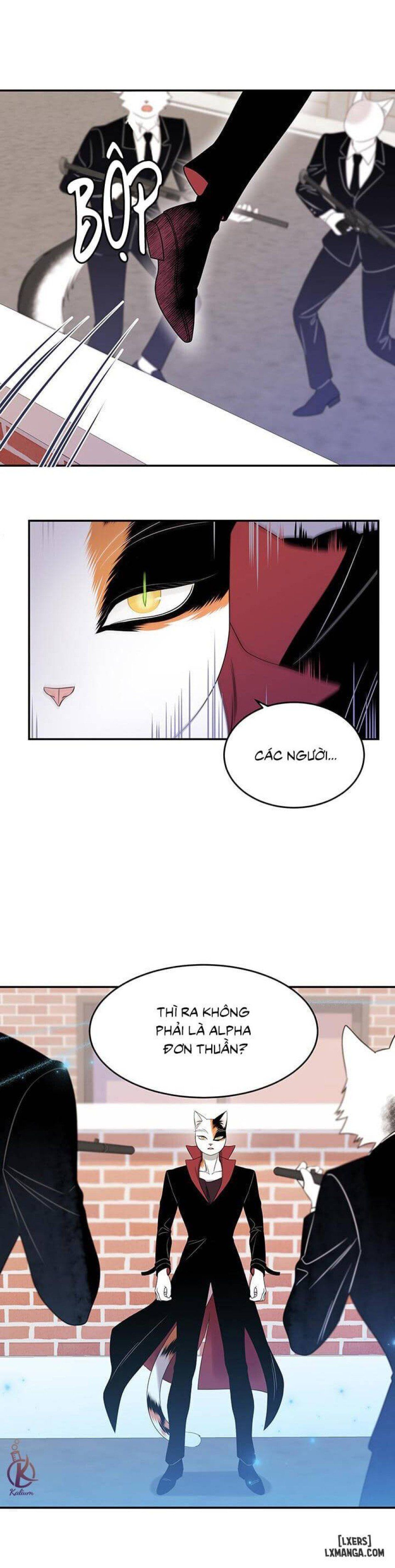 đọc truyện Dự Án Xanh Chương 13 ảnh 23 tại Thiên Thai Truyện