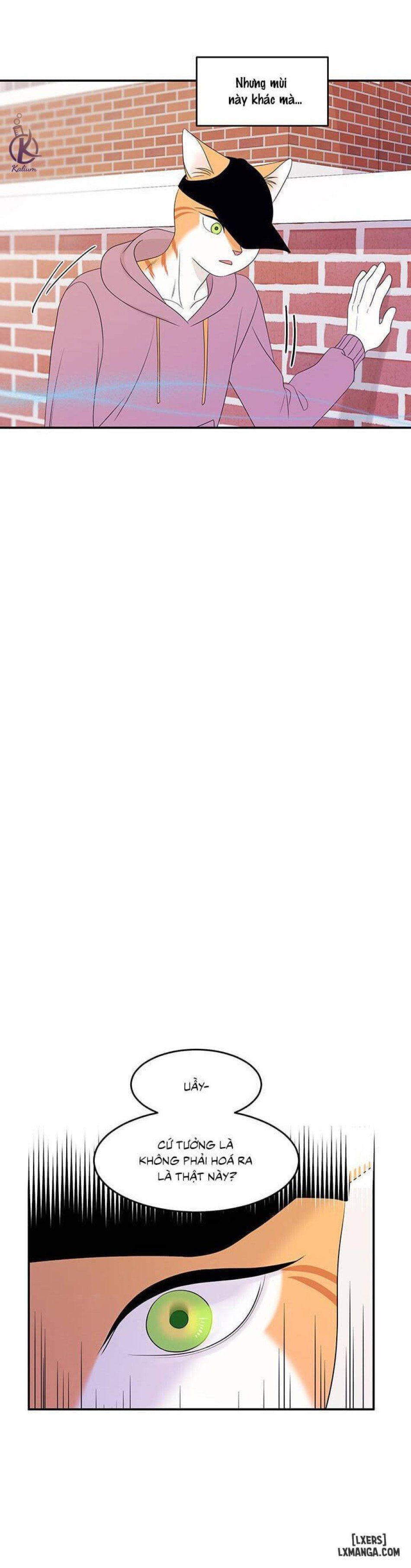 đọc truyện Dự Án Xanh Chương 13 ảnh 5 tại Thiên Thai Truyện