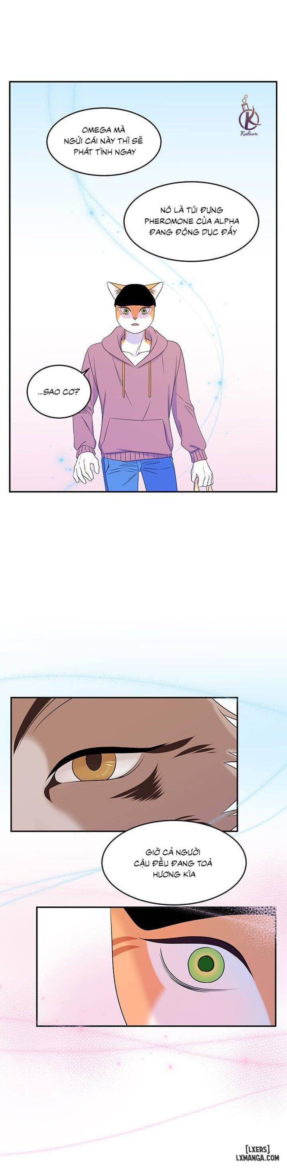 đọc truyện Dự Án Xanh Chương 13 ảnh 9 tại Thiên Thai Truyện