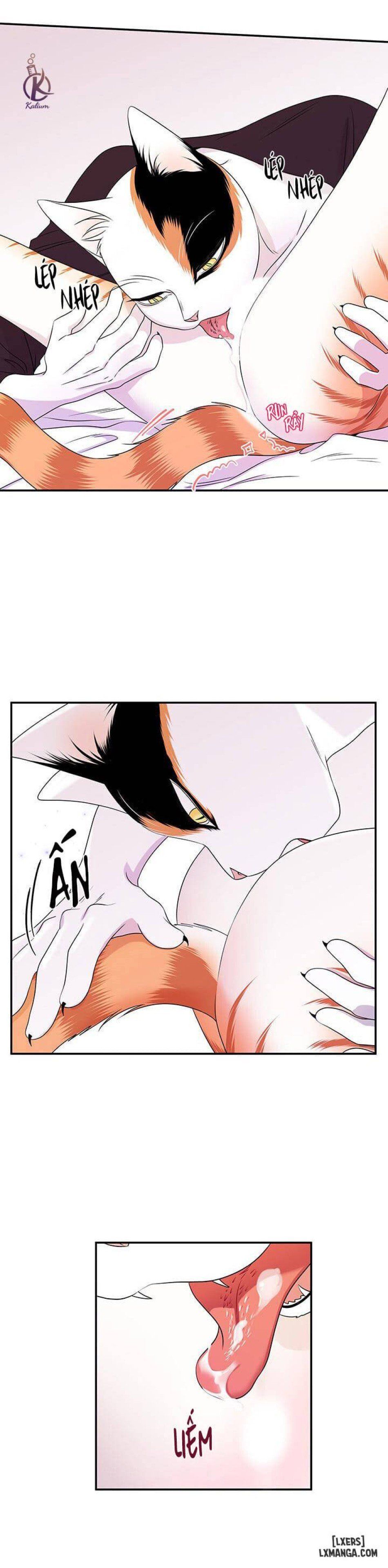 đọc truyện Dự Án Xanh Chương 14 ảnh 12 tại Thiên Thai Truyện