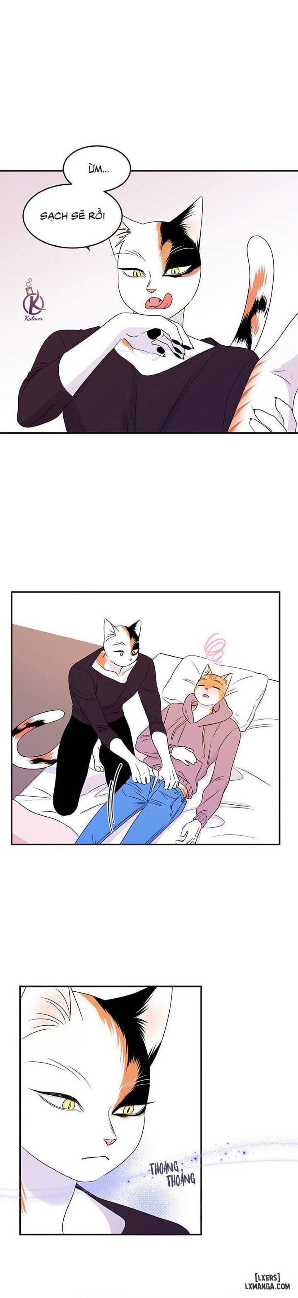 đọc truyện Dự Án Xanh Chương 14 ảnh 13 tại Thiên Thai Truyện