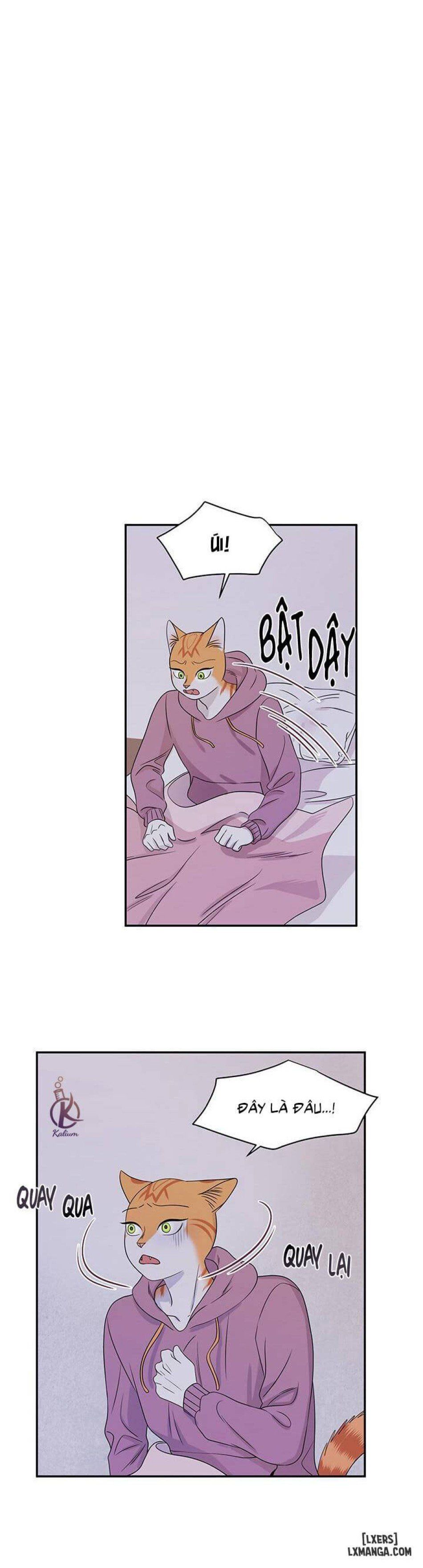 đọc truyện Dự Án Xanh Chương 14 ảnh 16 tại Thiên Thai Truyện