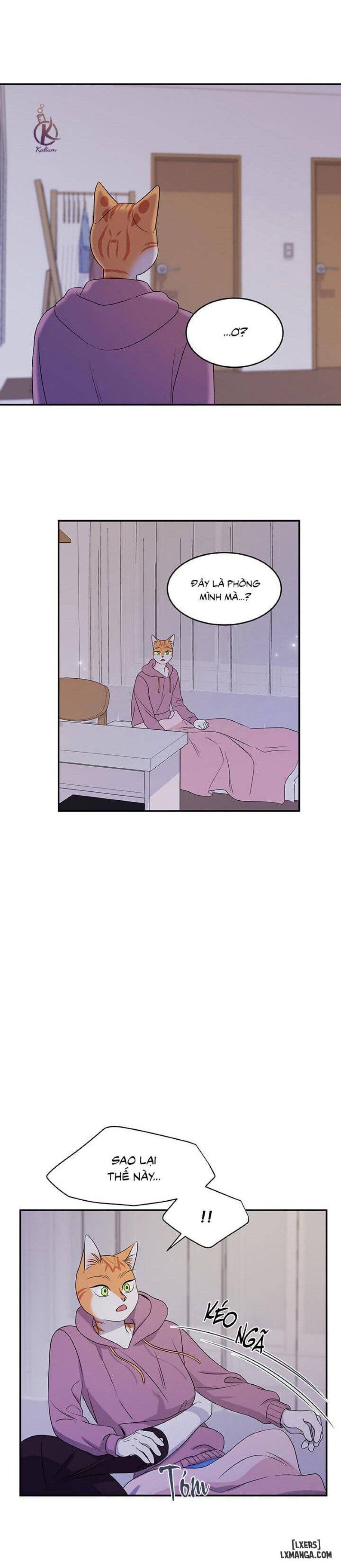 đọc truyện Dự Án Xanh Chương 14 ảnh 17 tại Thiên Thai Truyện