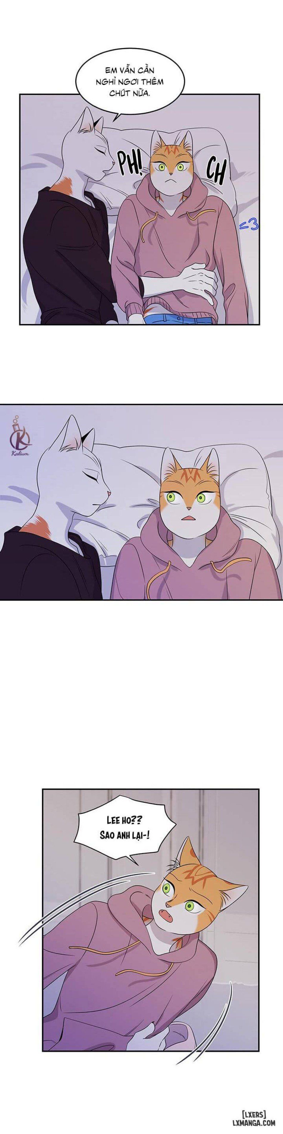 đọc truyện Dự Án Xanh Chương 14 ảnh 18 tại Thiên Thai Truyện