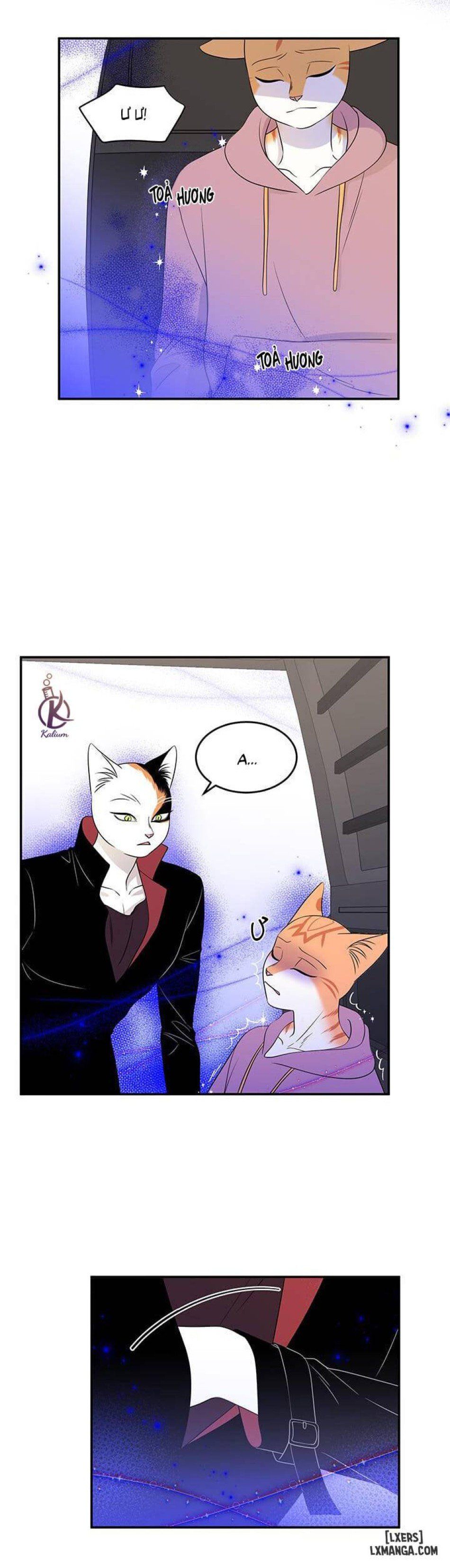 đọc truyện Dự Án Xanh Chương 14 ảnh 4 tại Thiên Thai Truyện