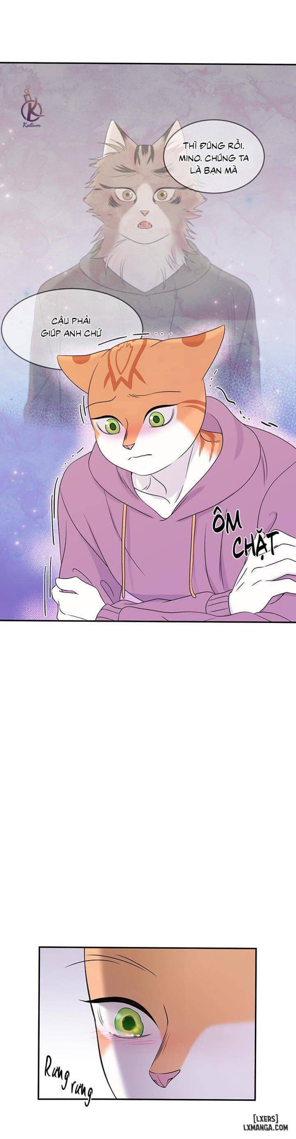 đọc truyện Dự Án Xanh Chương 14 ảnh 22 tại Thiên Thai Truyện