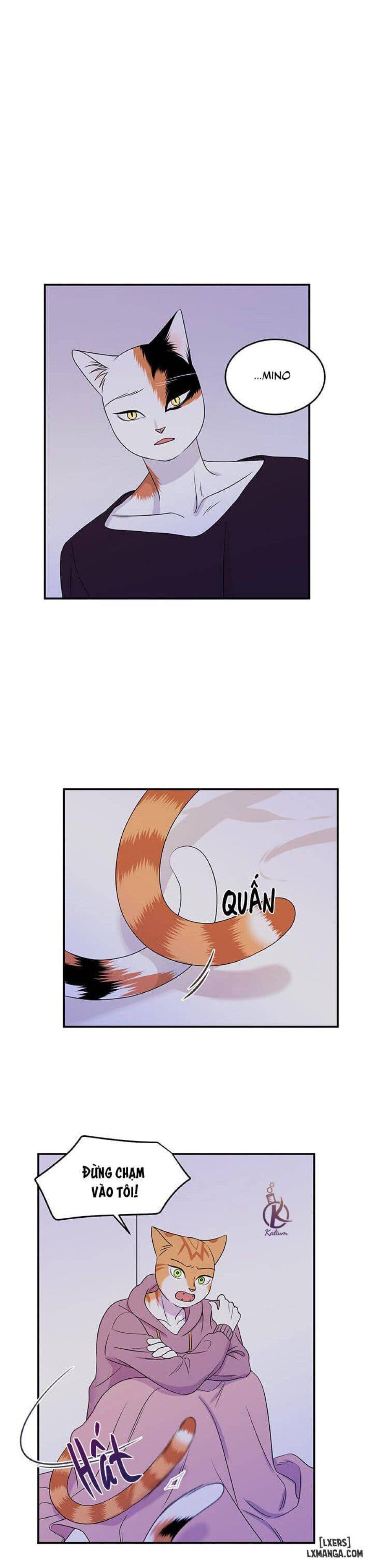 đọc truyện Dự Án Xanh Chương 14 ảnh 24 tại Thiên Thai Truyện