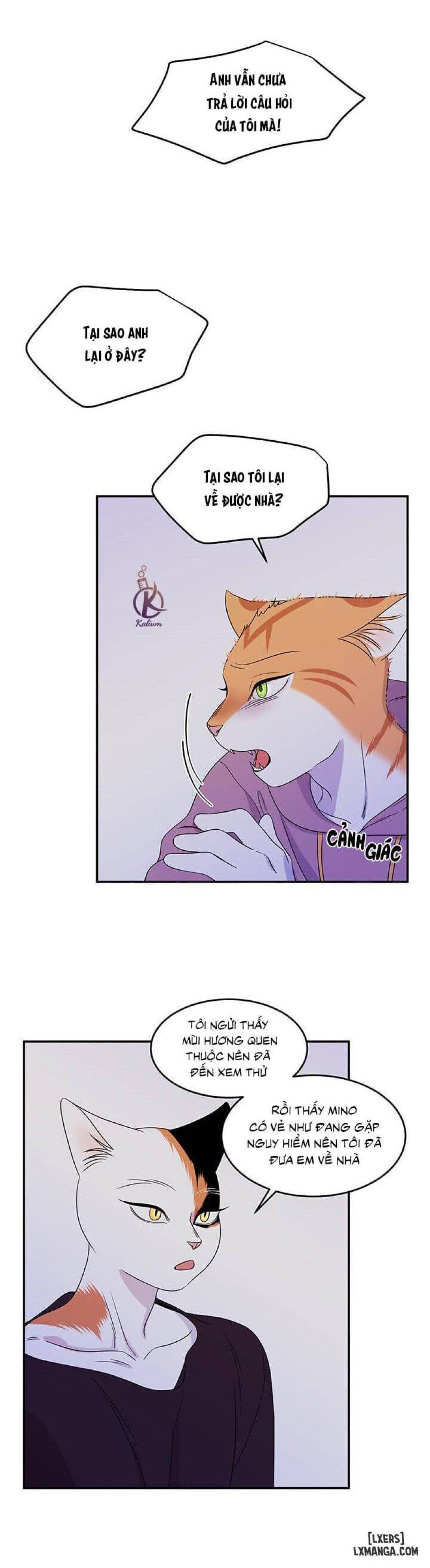 đọc truyện Dự Án Xanh Chương 14 ảnh 25 tại Thiên Thai Truyện