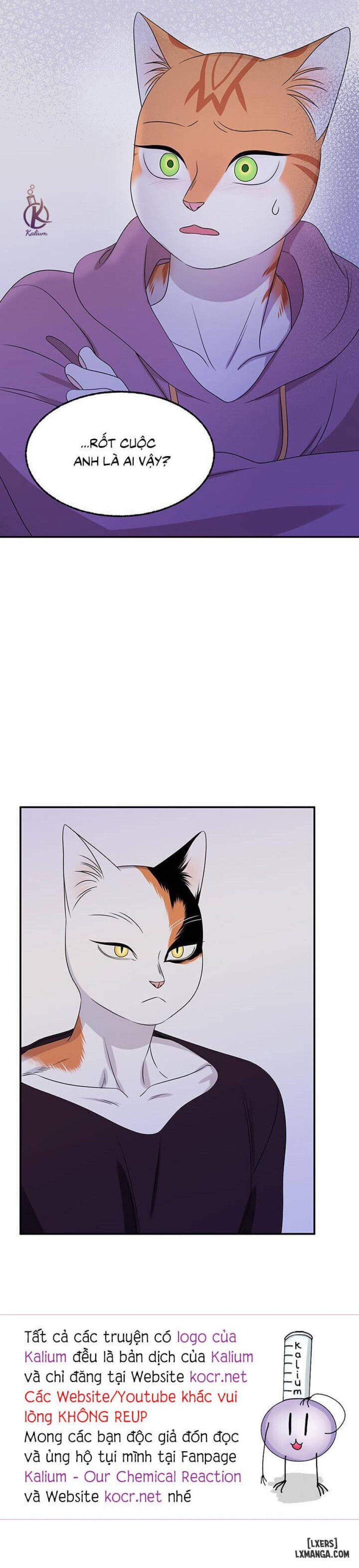 đọc truyện Dự Án Xanh Chương 14 ảnh 28 tại Thiên Thai Truyện