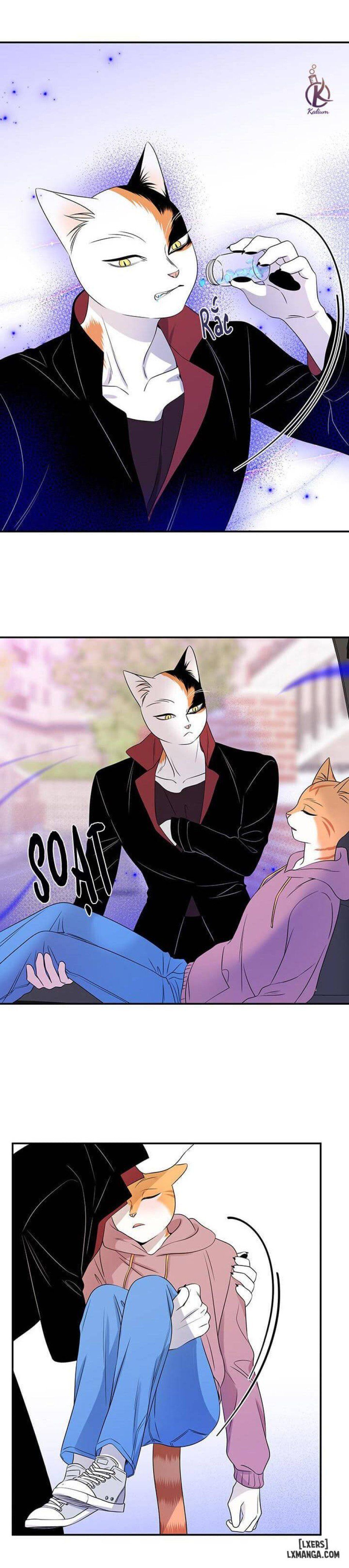 đọc truyện Dự Án Xanh Chương 14 ảnh 5 tại Thiên Thai Truyện