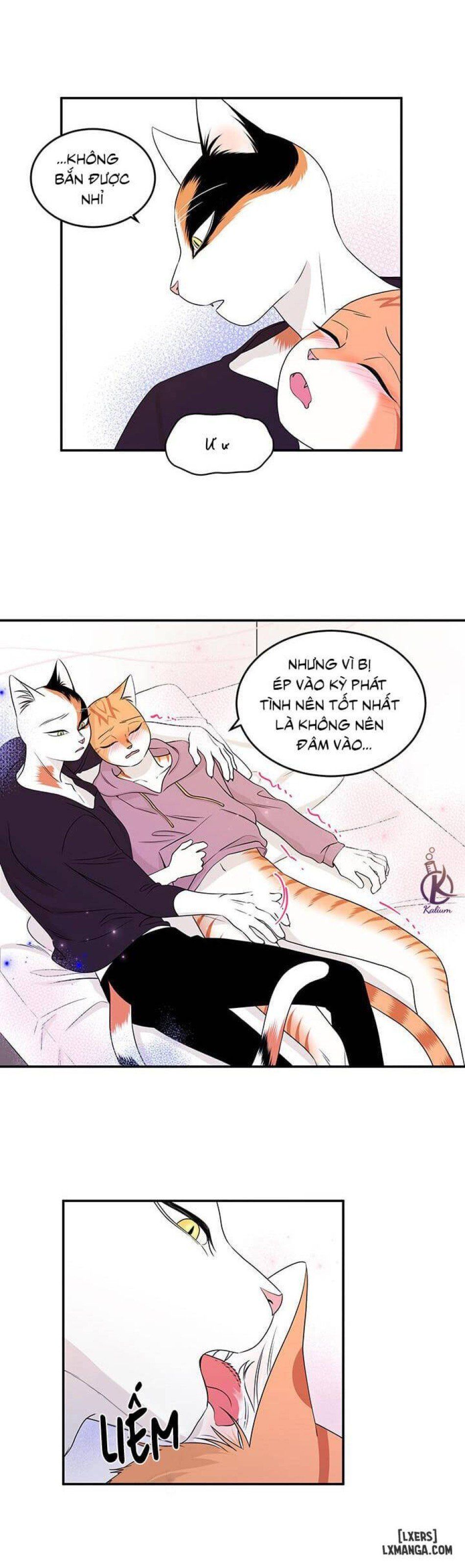 đọc truyện Dự Án Xanh Chương 14 ảnh 8 tại Thiên Thai Truyện