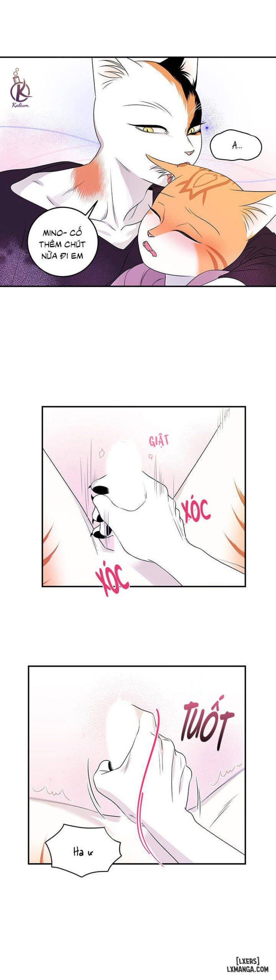 đọc truyện Dự Án Xanh Chương 14 ảnh 9 tại Thiên Thai Truyện