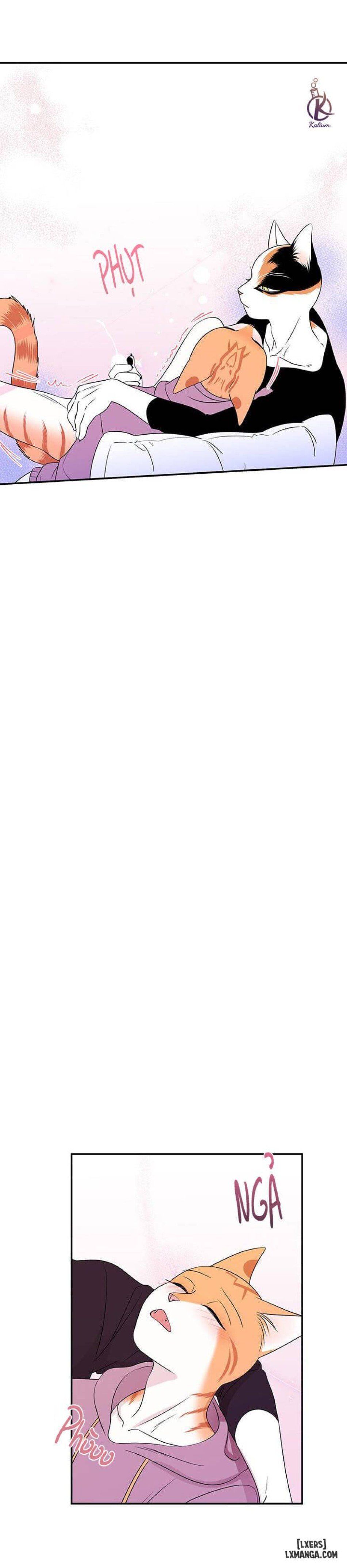 đọc truyện Dự Án Xanh Chương 14 ảnh 10 tại Thiên Thai Truyện