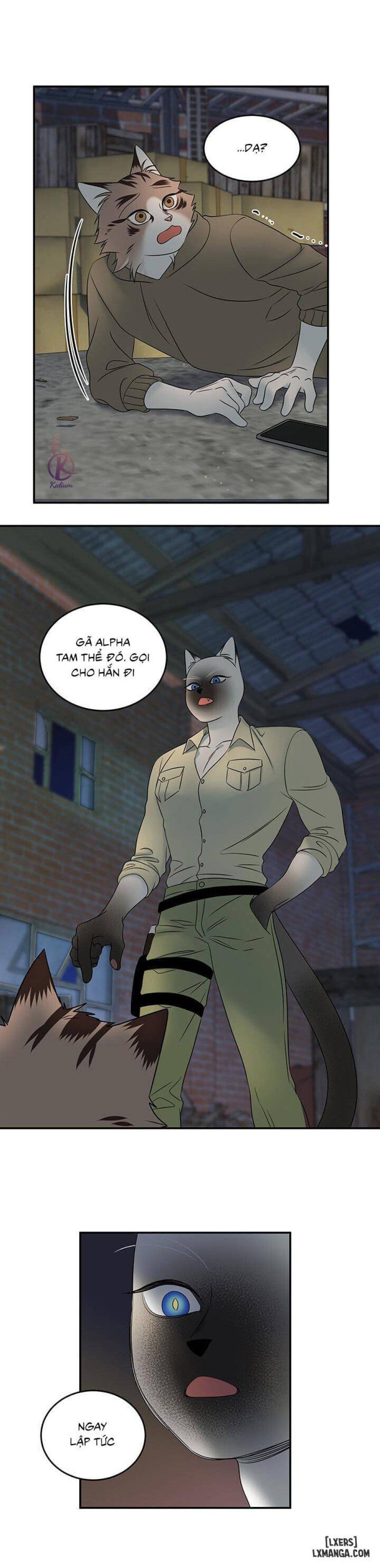 đọc truyện Dự Án Xanh Chương 15 ảnh 13 tại Thiên Thai Truyện