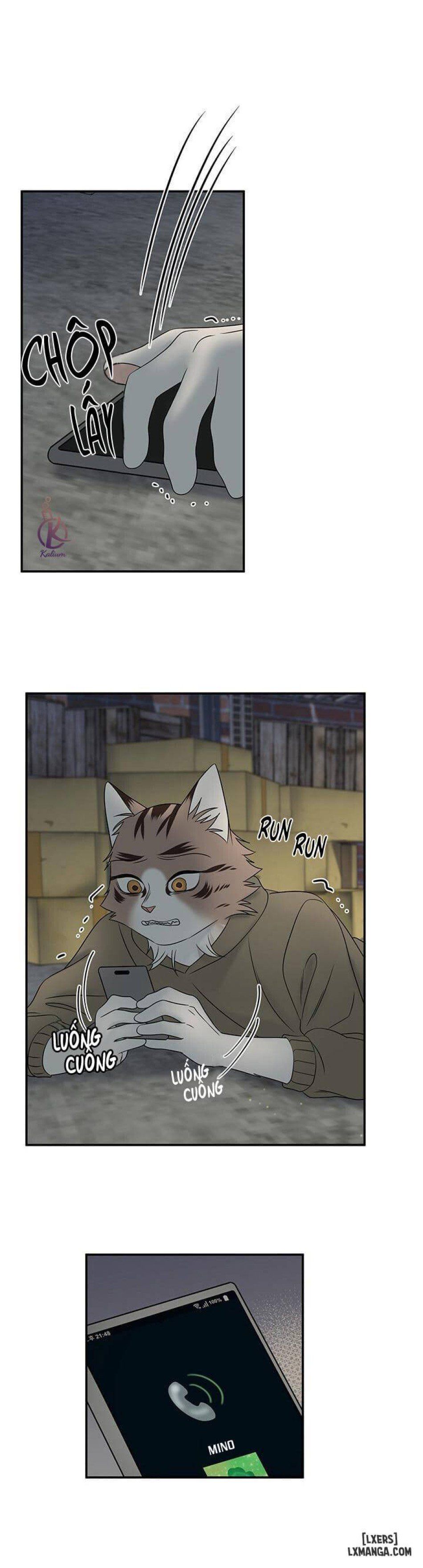 đọc truyện Dự Án Xanh Chương 15 ảnh 14 tại Thiên Thai Truyện