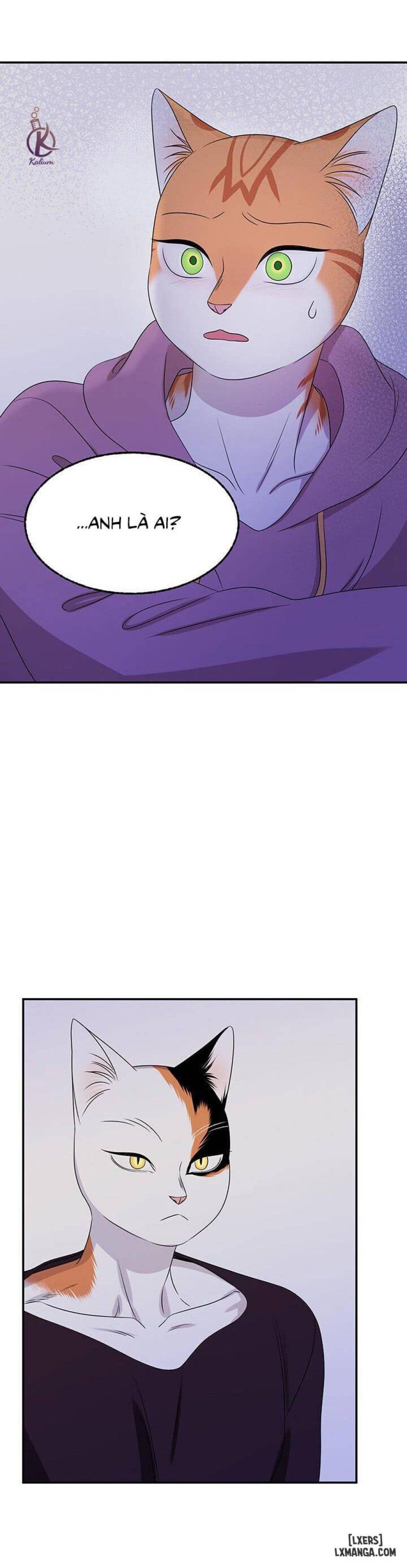 đọc truyện Dự Án Xanh Chương 15 ảnh 16 tại Thiên Thai Truyện