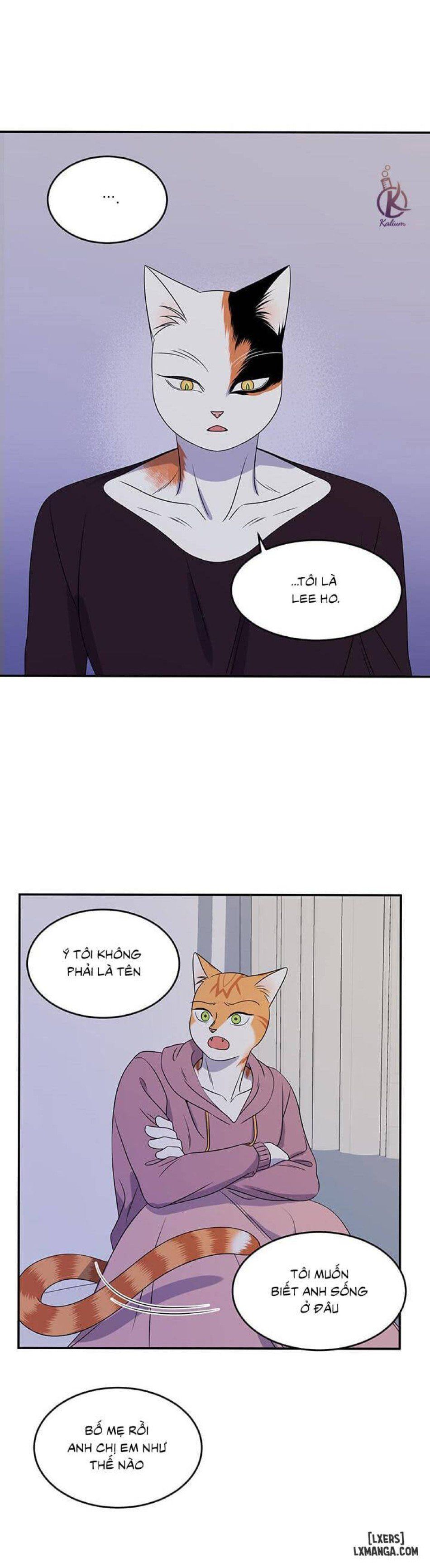 đọc truyện Dự Án Xanh Chương 15 ảnh 17 tại Thiên Thai Truyện