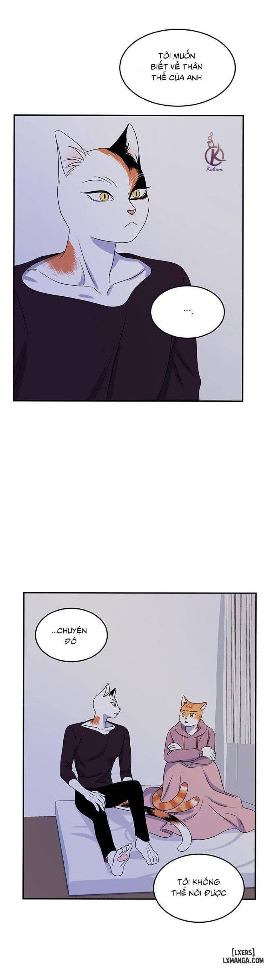 đọc truyện Dự Án Xanh Chương 15 ảnh 18 tại Thiên Thai Truyện