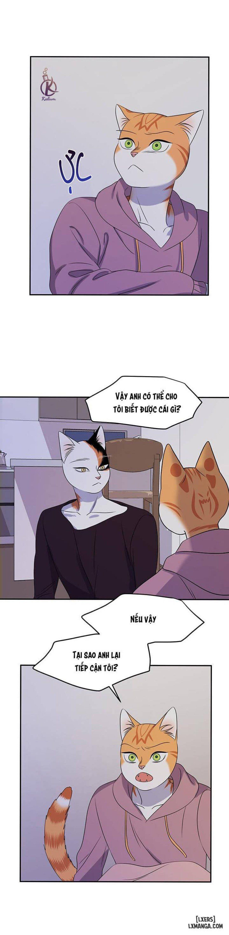 đọc truyện Dự Án Xanh Chương 15 ảnh 19 tại Thiên Thai Truyện